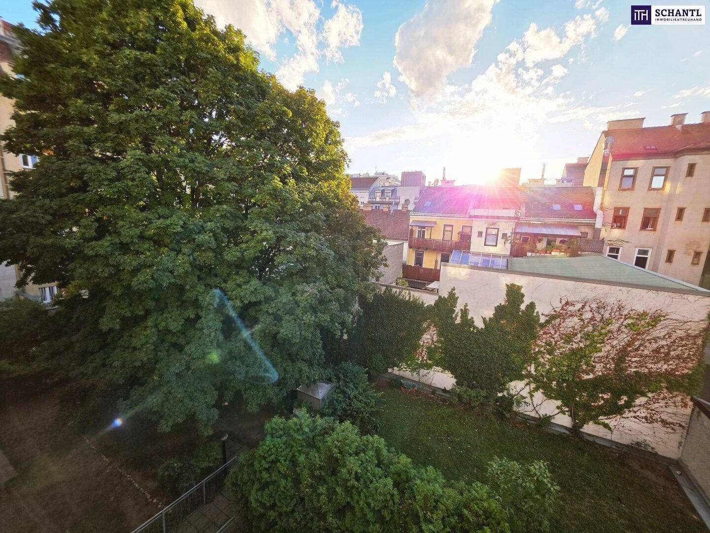 Blick auf einen grünen Innenhof mit altem Baum und weiteren Pflanzen, umgeben von Gebäuden.