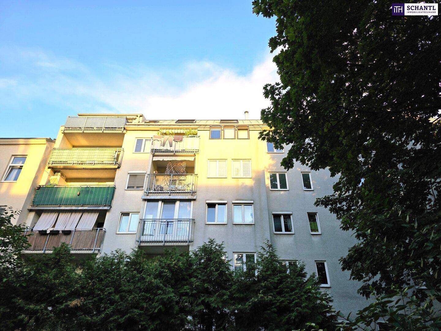 Wohngebäude mit Balkonen und grünen Bäumen im Vordergrund, beleuchtet von der Abendsonne.