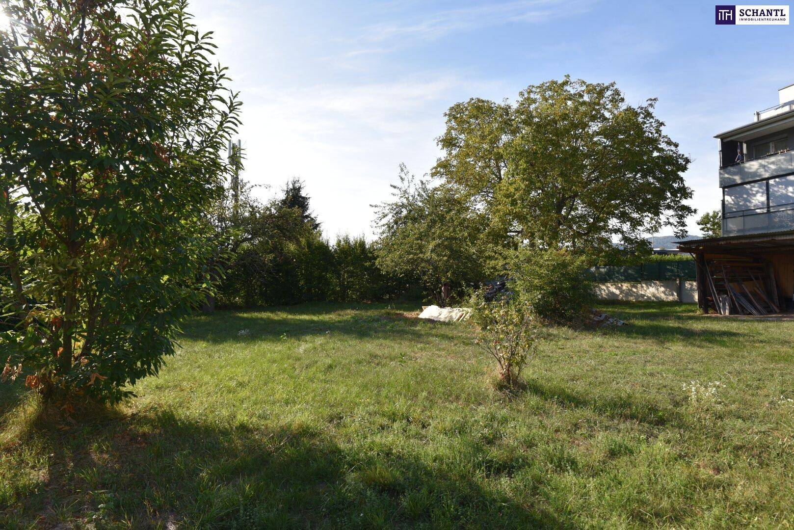 Grünes Grundstück mit Rasenfläche und Bäumen, umgeben von natürlicher Vegetation.