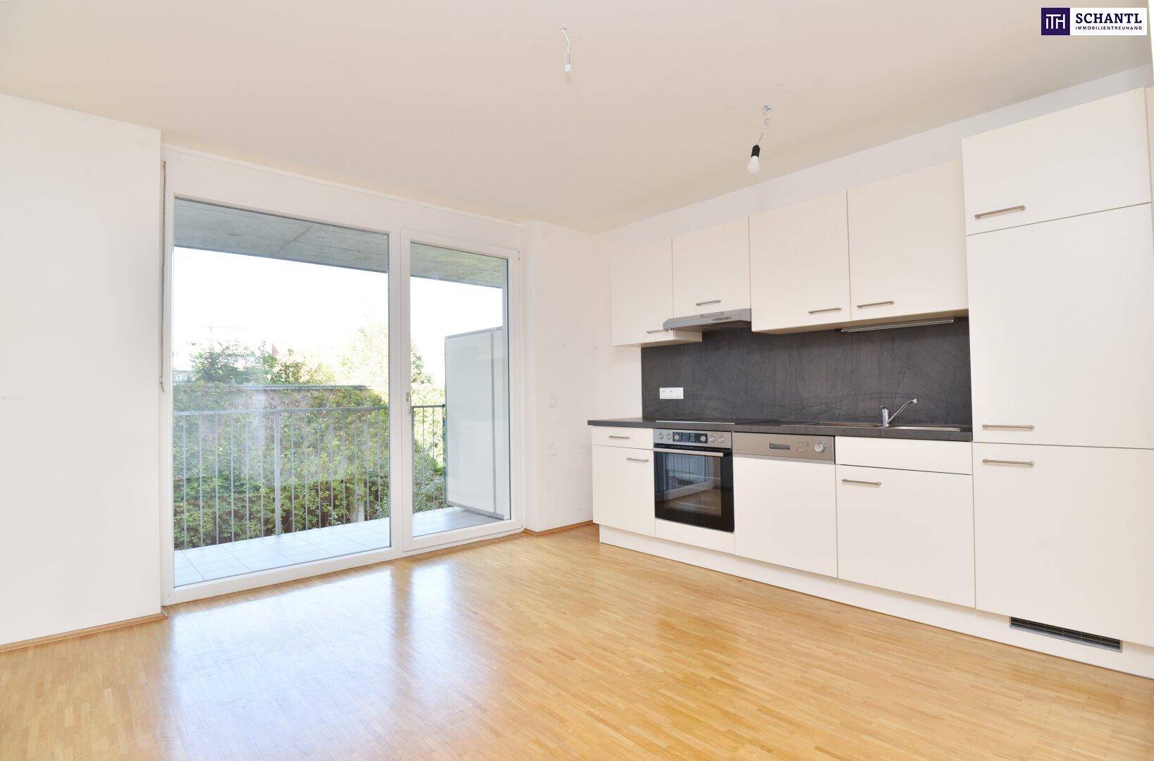 Offener Wohnbereich mit Einbauküche, Parkettboden und Schiebetür zum Balkon.