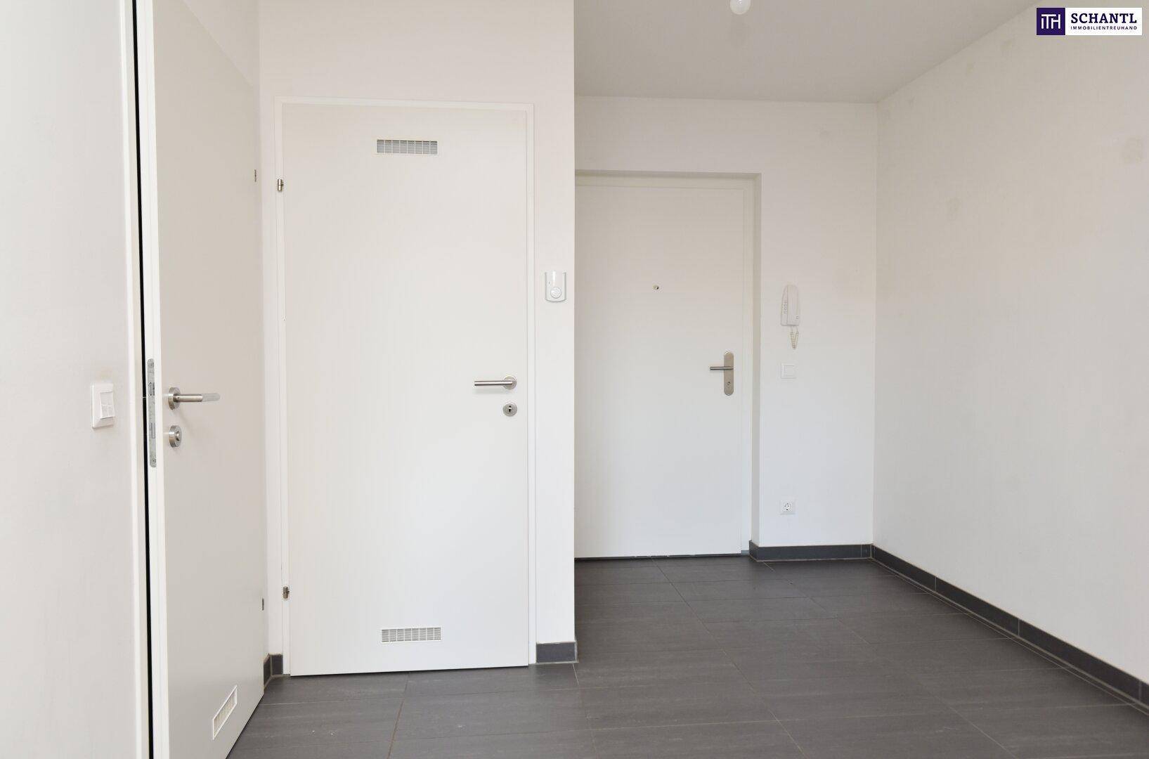 Heller Eingangsbereich mit modernem Fliesenboden und mehreren Türen zu den angrenzenden Räumen.