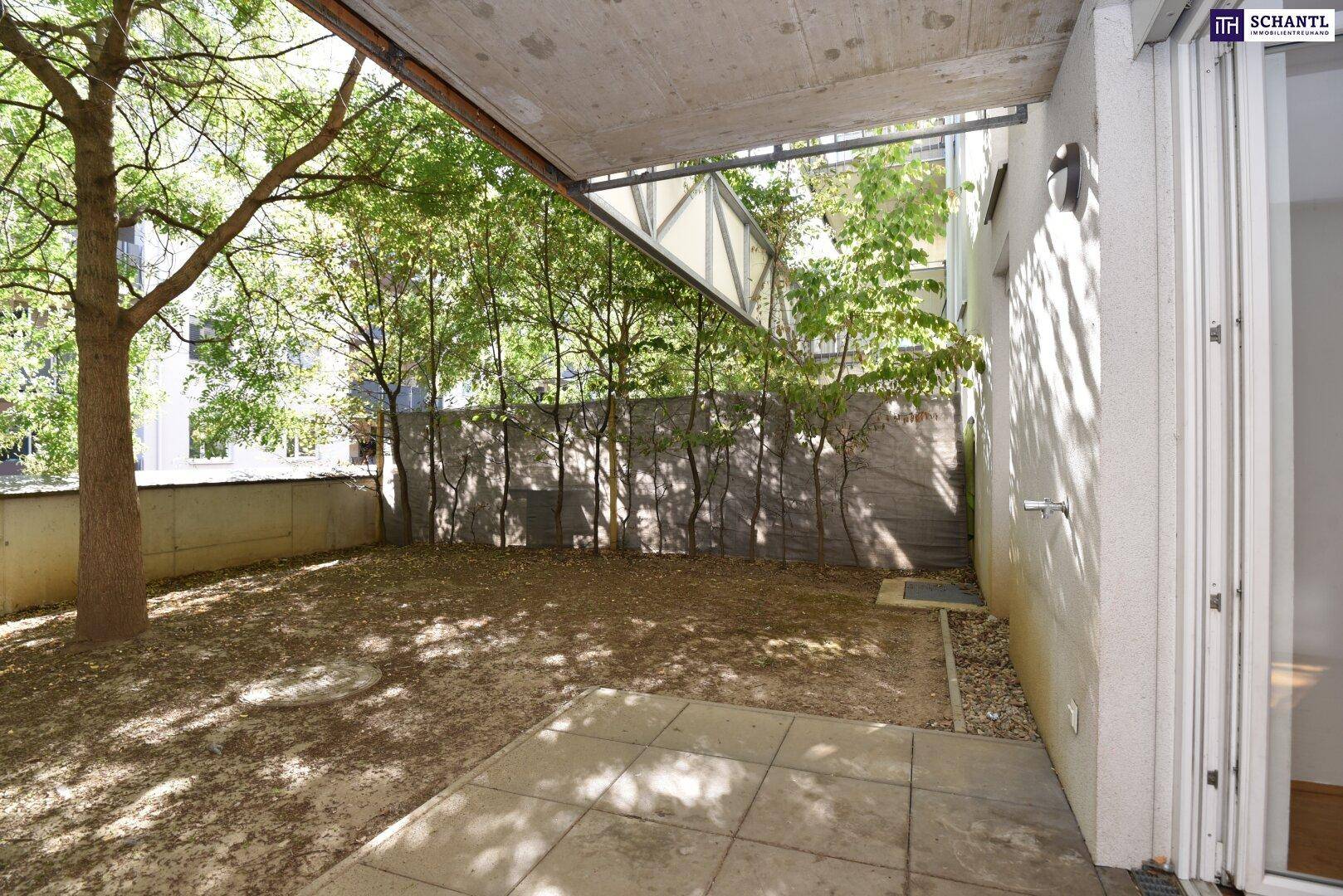 Ruhiger Gartenbereich mit Baumbestand und einer gepflasterten Terrasse unter einer Überdachung.