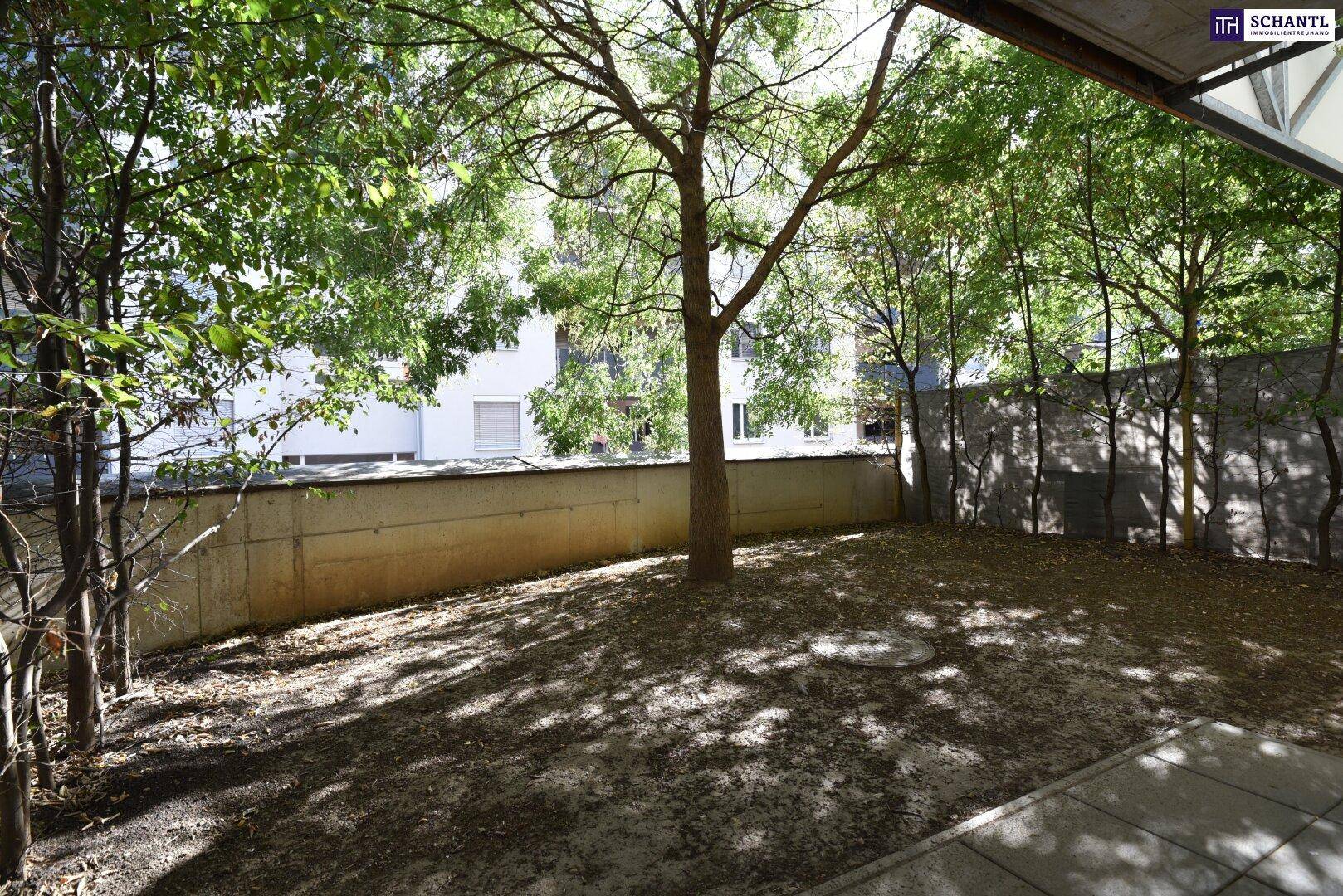 Grüner Garten mit Bäumen und einer schützenden Mauer, die Privatsphäre und Ruhe bietet.
