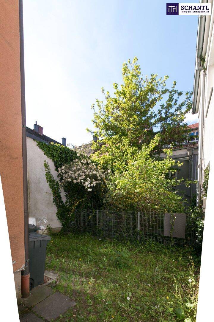 Kleiner Hinterhofgarten mit Bäumen, Sträuchern und einer einfachen Umzäunung zwischen Gebäuden.