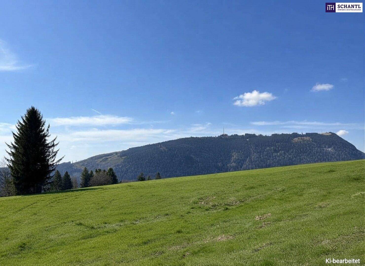 Weitläufige grüne Wiese mit einem einzelnen Baum und einem bewaldeten Berg im Hintergrund unter blauem Himmel.