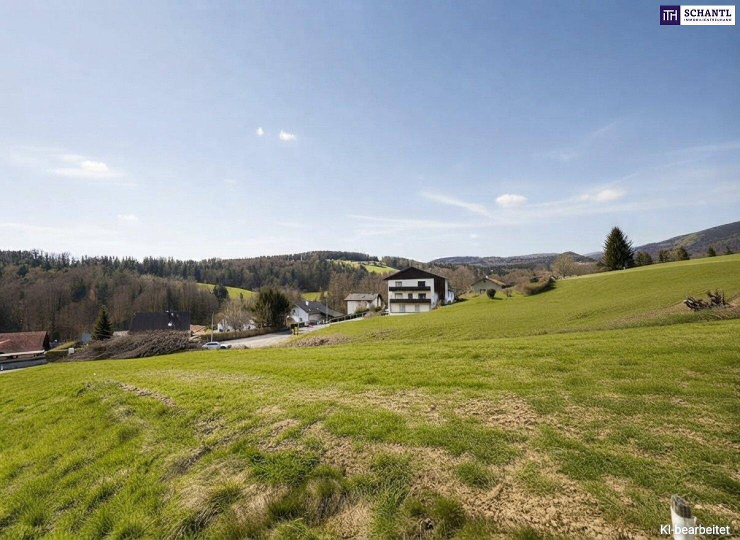 Panoramablick über eine grüne Wiesenlandschaft mit einem modernen Wohnhaus und bewaldeten Hügeln im Hintergrund.