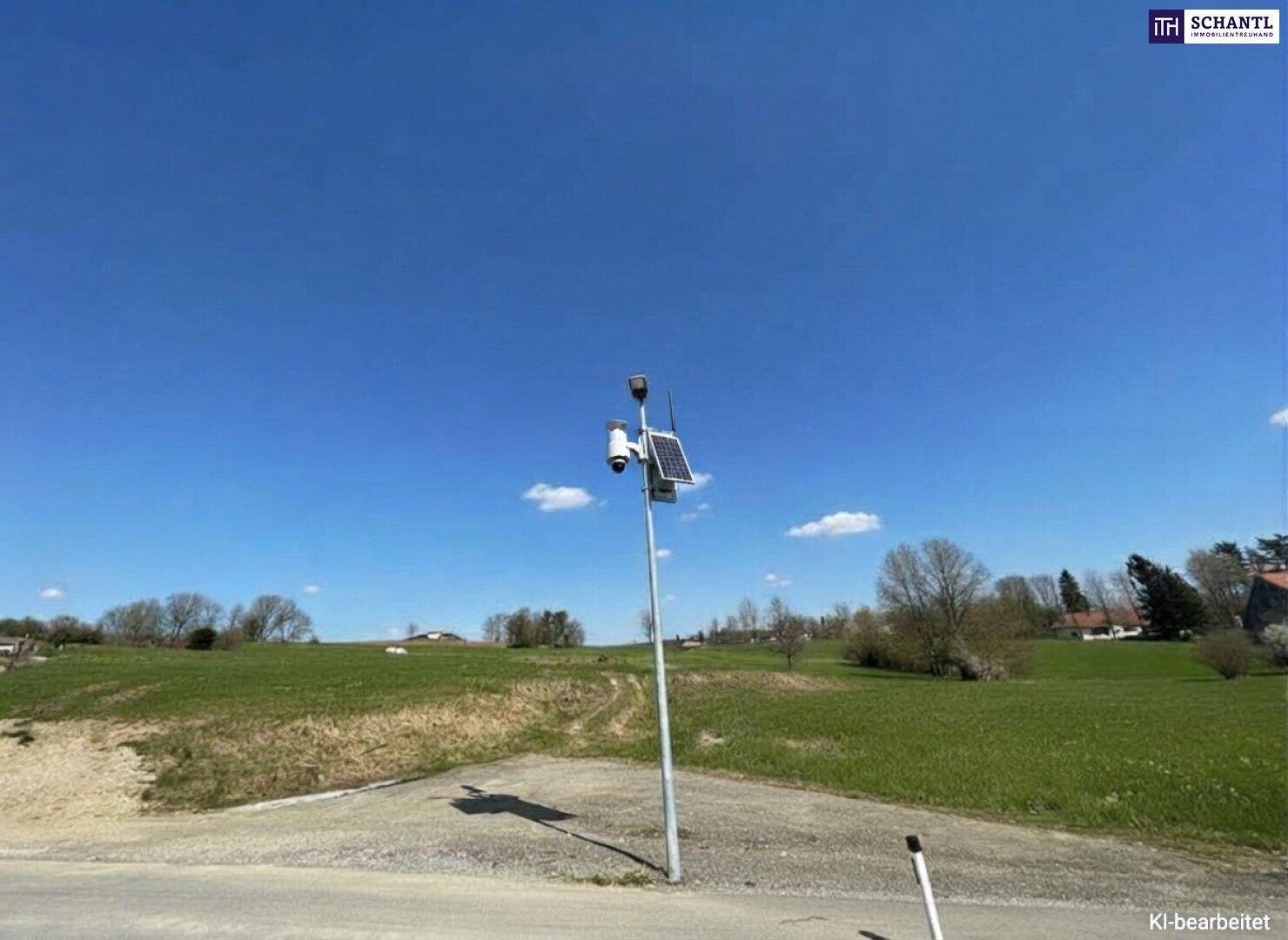 Grüne Wiesenlandschaft mit einem Überwachungspfahl, ausgestattet mit Kamera und Solarmodul, unter blauem Himmel.