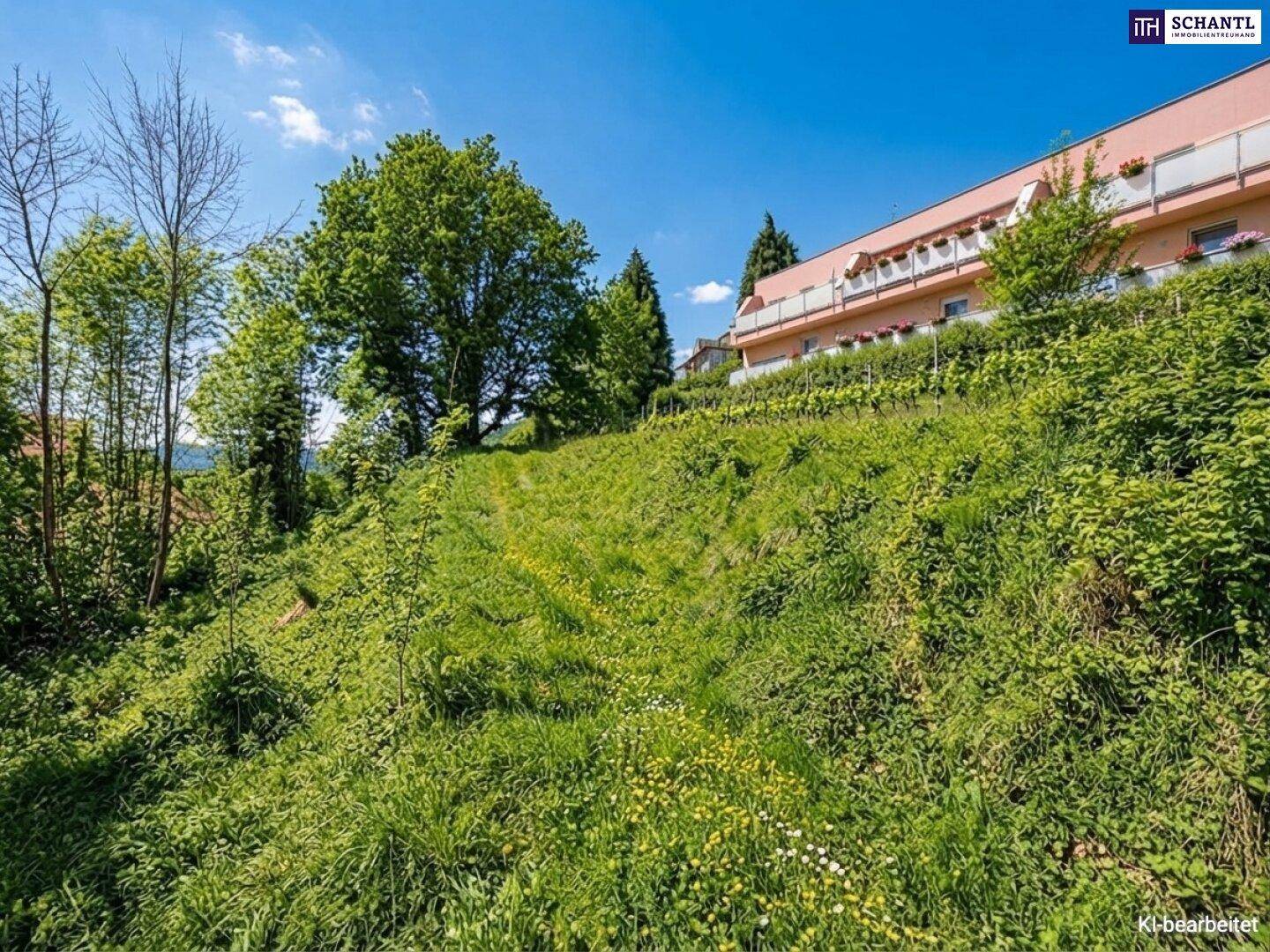 Steiles, bewachsenes Grundstück mit Blick auf ein Gebäude mit Balkonen und viel Grün.