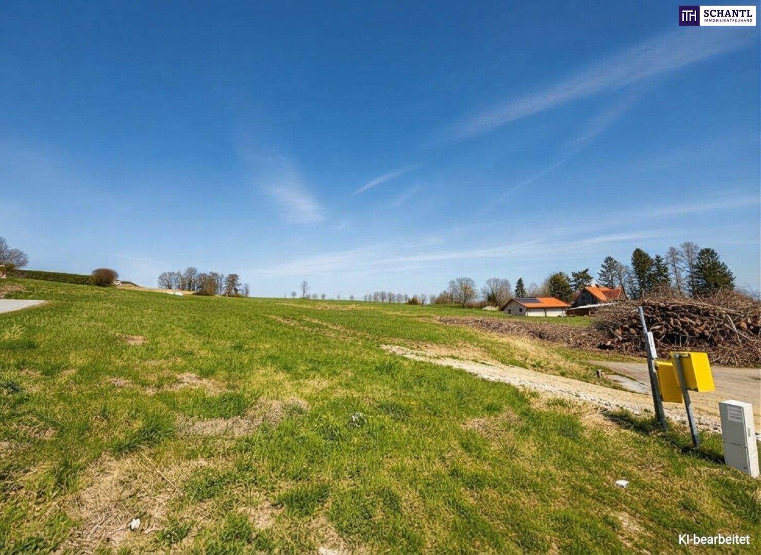 Offenes grünes Feld mit vereinzelten Bäumen und Häusern in der Ferne unter klarem Himmel.