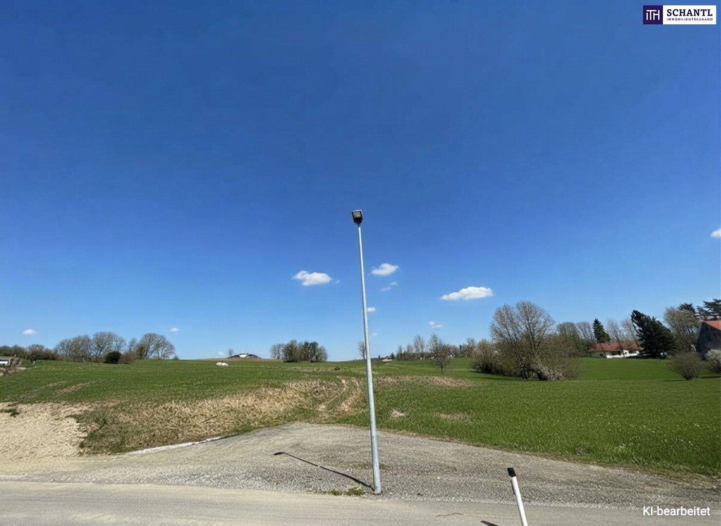 Weites grünes Feld mit einem Laternenpfahl und Bäumen am Horizont unter strahlend blauem Himmel.