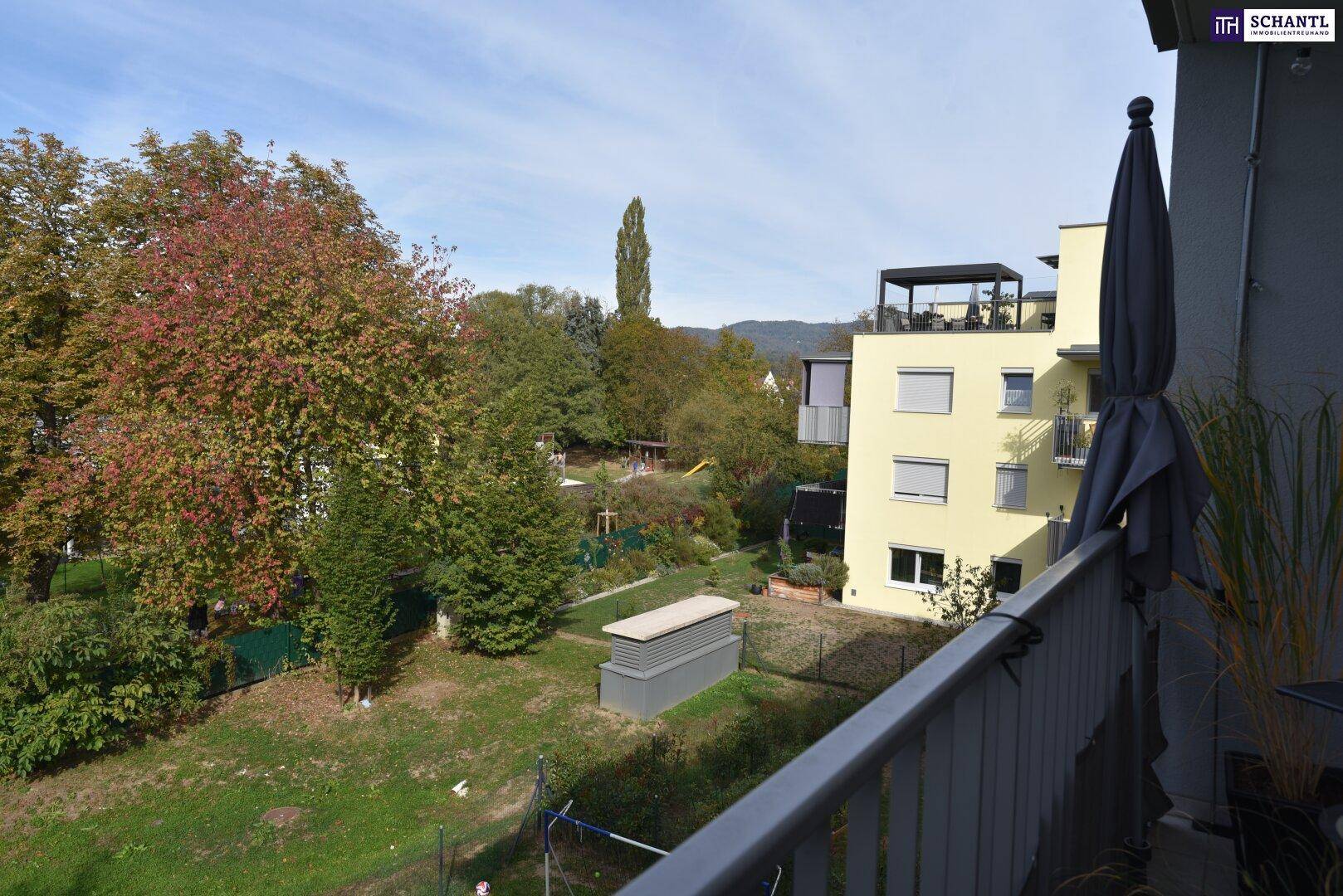 Ausblick