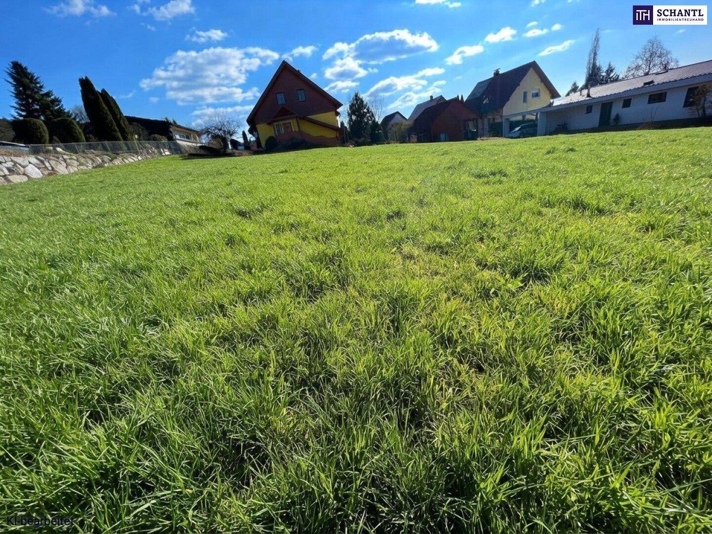 Sonnige grüne Wiese mit Blick auf die Nachbarschaft und weitere Wohnhäuser in der Ferne.