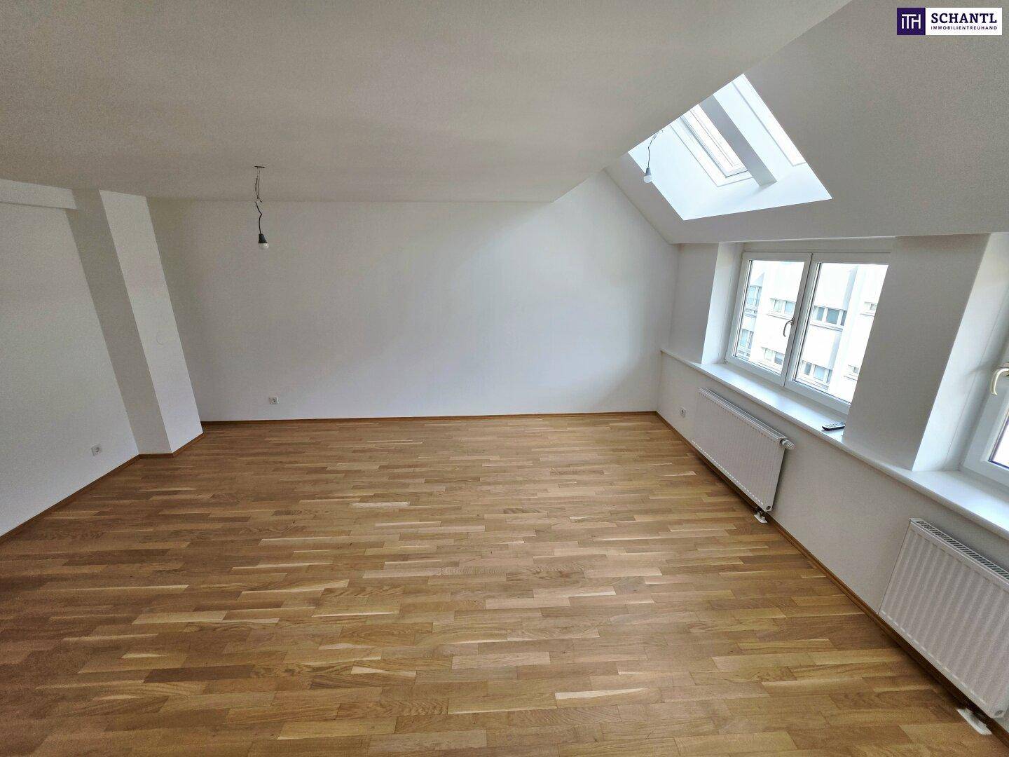 Großzügiger Wohnraum mit Parkettboden, vielen Fenstern und Dachfenster für viel Tageslicht.