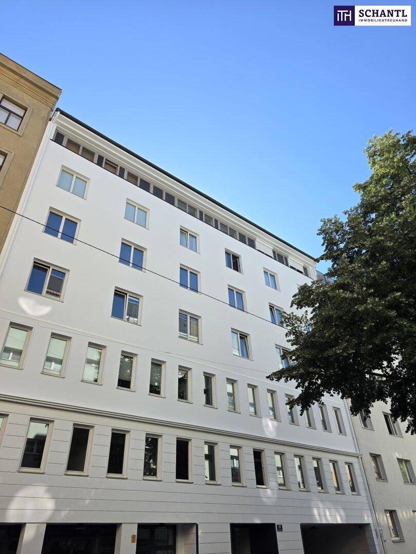 Ansicht der modernen Gebäudefassade mit vielen Fenstern und einem Baum im Vordergrund.