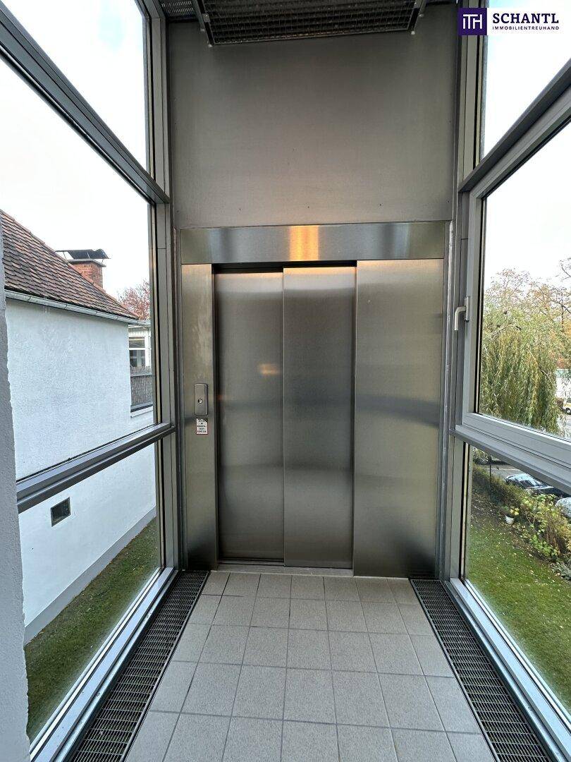 Moderner Aufzug mit Glaswänden und Blick ins Grüne, der den Zugang zu den Etagen ermöglicht.