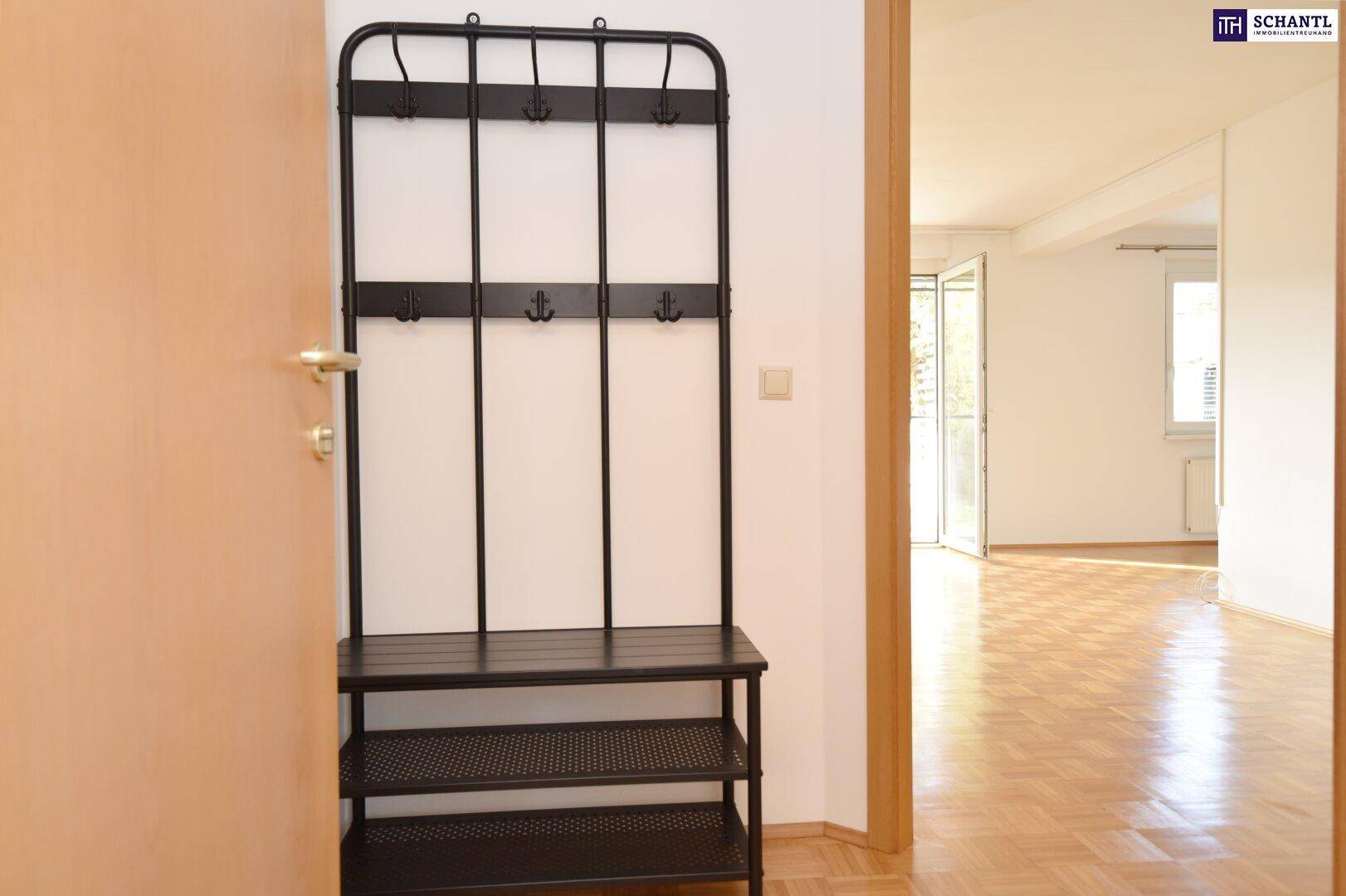 Eingangsbereich mit Garderobe und Blick in den hellen Wohnbereich.