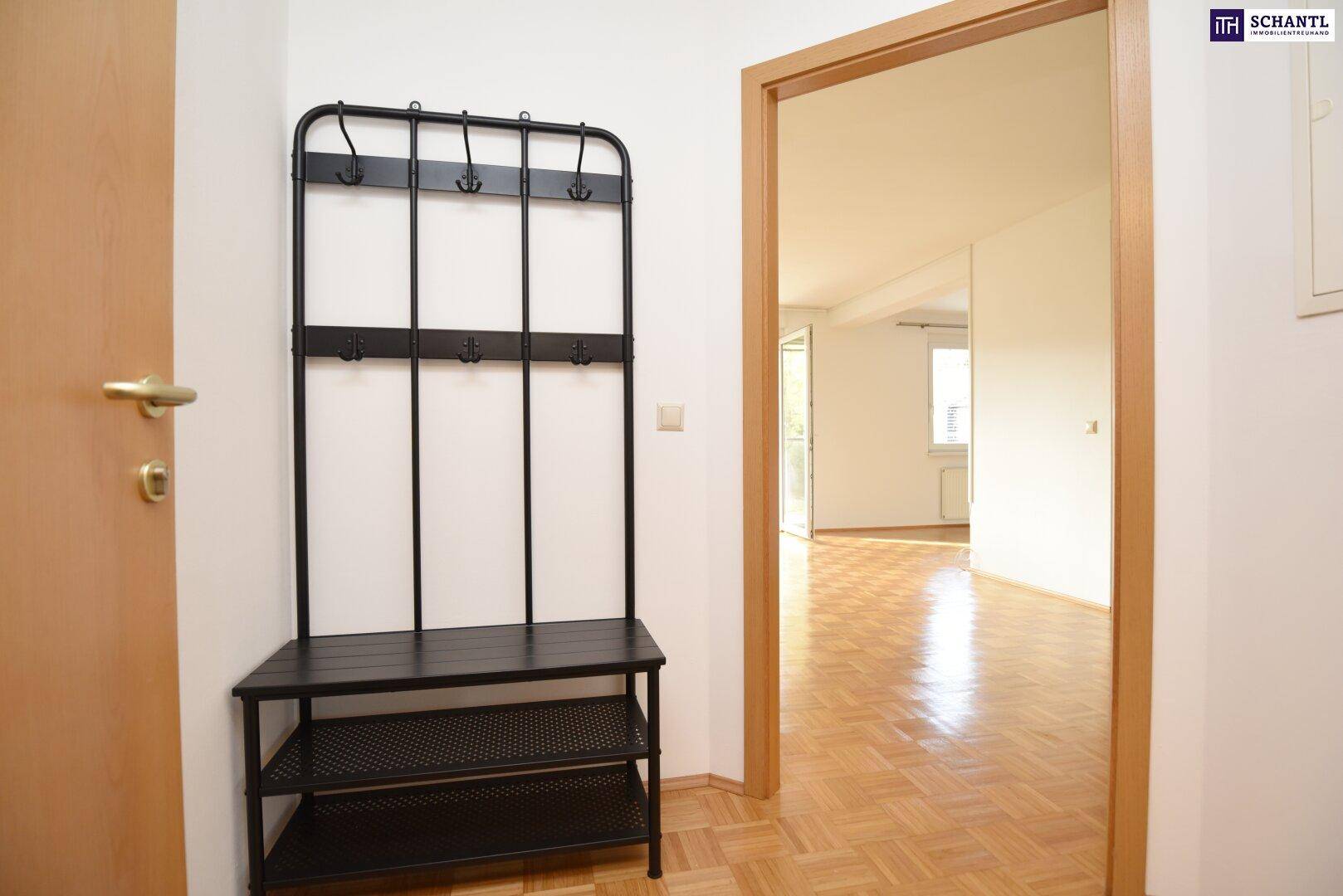 Eingangsbereich mit Garderobe und Blick in den hellen Wohnbereich.
