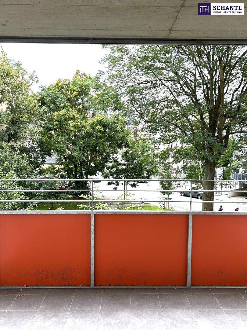 Balkon mit roter Brüstung und Blick auf eine ruhige Straße mit Bäumen und parkenden Autos.