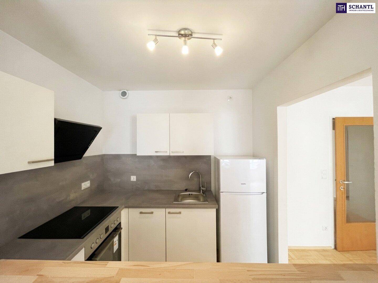 Moderne Küchenzeile mit integriertem Herd, Backofen und Kühlschrank in hellem Design.