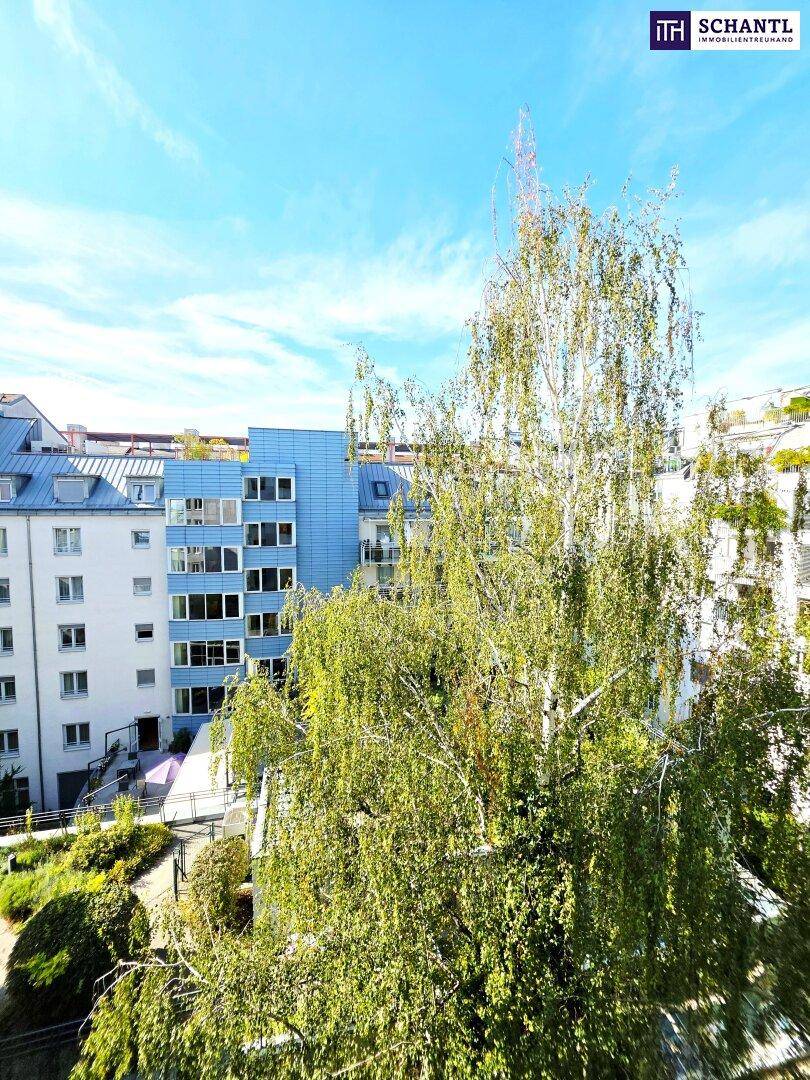 Blick auf umliegende Gebäude und üppige Bäume unter einem blauen Himmel.