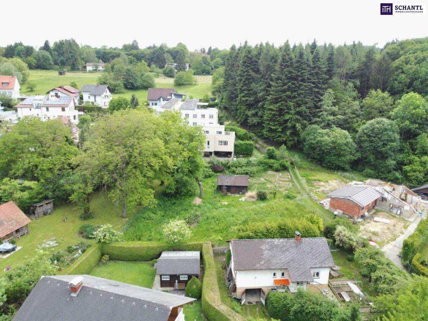 Luftbild