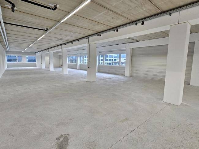 Weitläufiger, heller Raum mit Betonboden, Säulen und Fensterfronten, ideal für gewerbliche Nutzung.