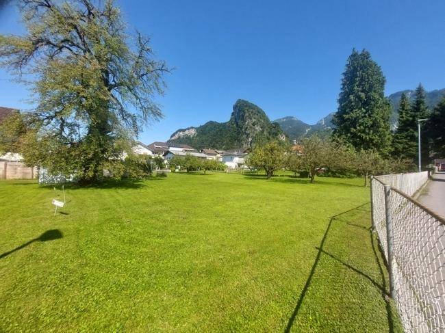 Weitläufige Grünfläche mit altem Baum, Zaun und malerischem Bergblick.