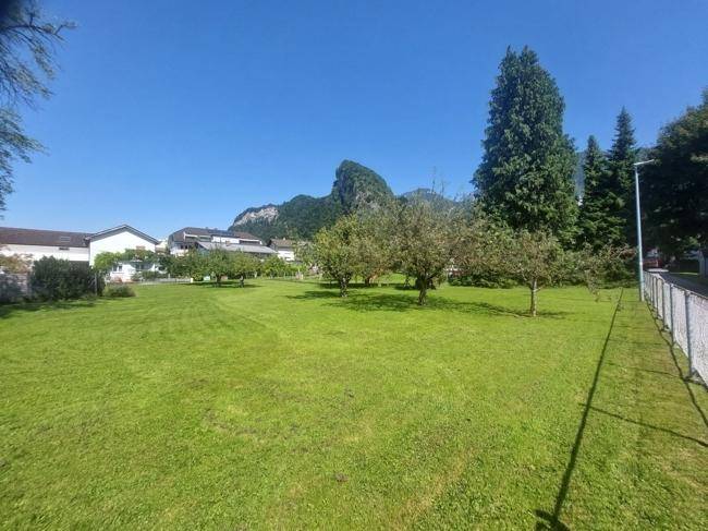 Sonnige Rasenfläche mit Bäumen und beeindruckendem Bergblick unter klarem Himmel.