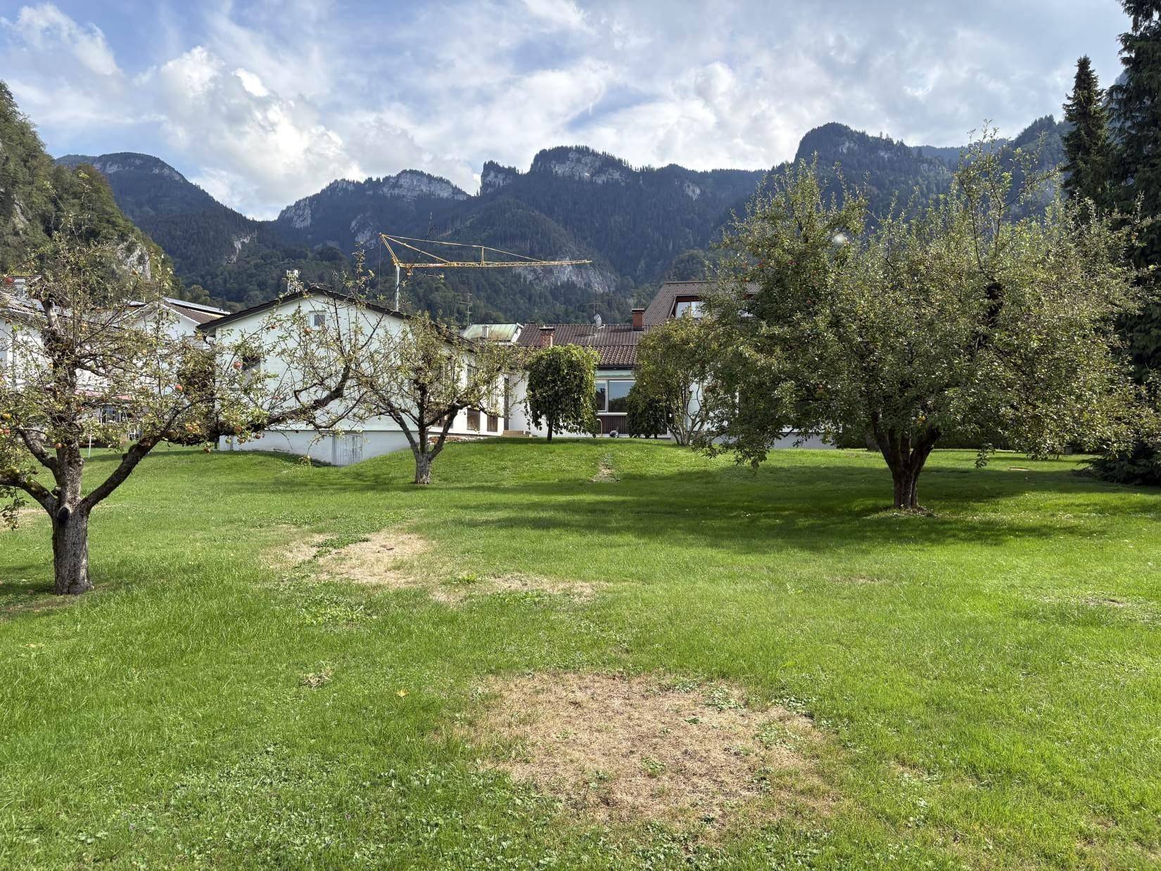 Weitläufiger Gartenbereich mit Obstbäumen und beeindruckendem Bergblick an einem sonnigen Tag.