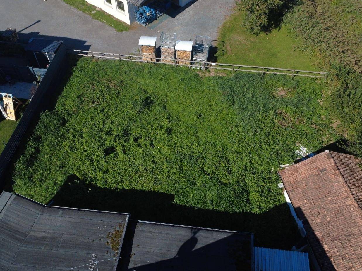 Blick von oben auf ein großes, grünes Grundstück mit angrenzenden Häusern und gestapeltem Holz in Metallkäfigen.