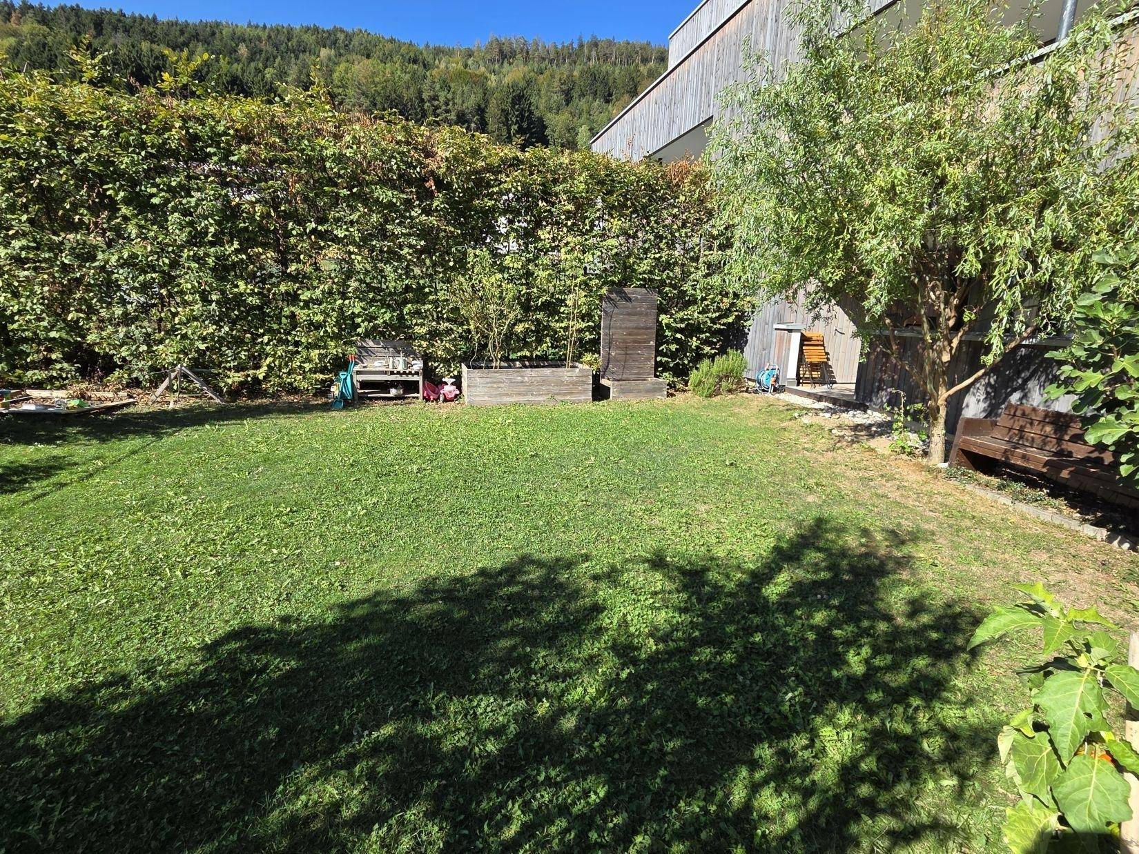 Gepflegter Gartenbereich mit Rasenfläche und hoher Hecke für Privatsphäre.