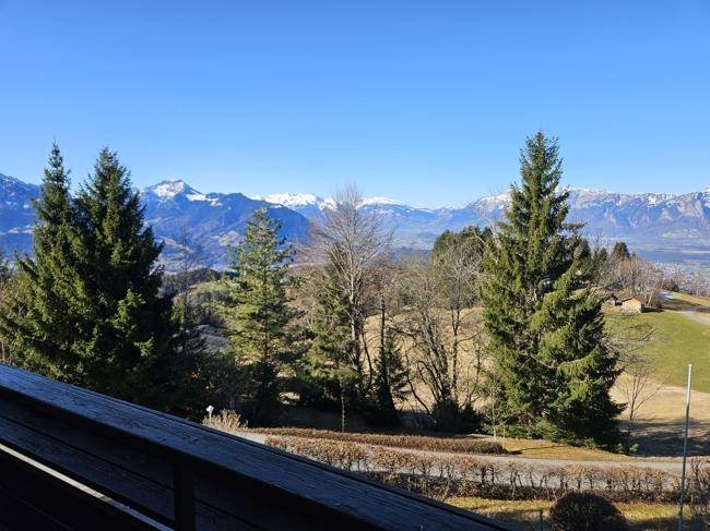 Ausblick