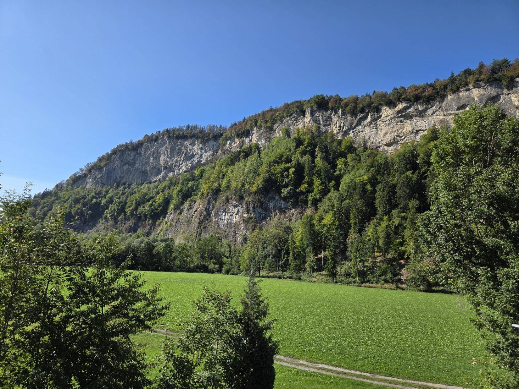 Beeindruckender Panoramablick auf die bewaldeten Berge und weite grüne Felder unter blauem Himmel.