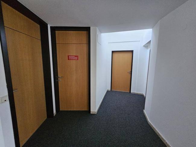 Schlichter Flur mit Teppichboden und mehreren Holztüren, die zu verschiedenen Räumen führen.