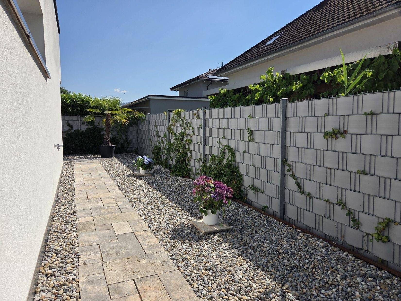 Seitlicher Gartenweg mit Kies und Trittsteinen, gesäumt von einem begrünten Zaun.