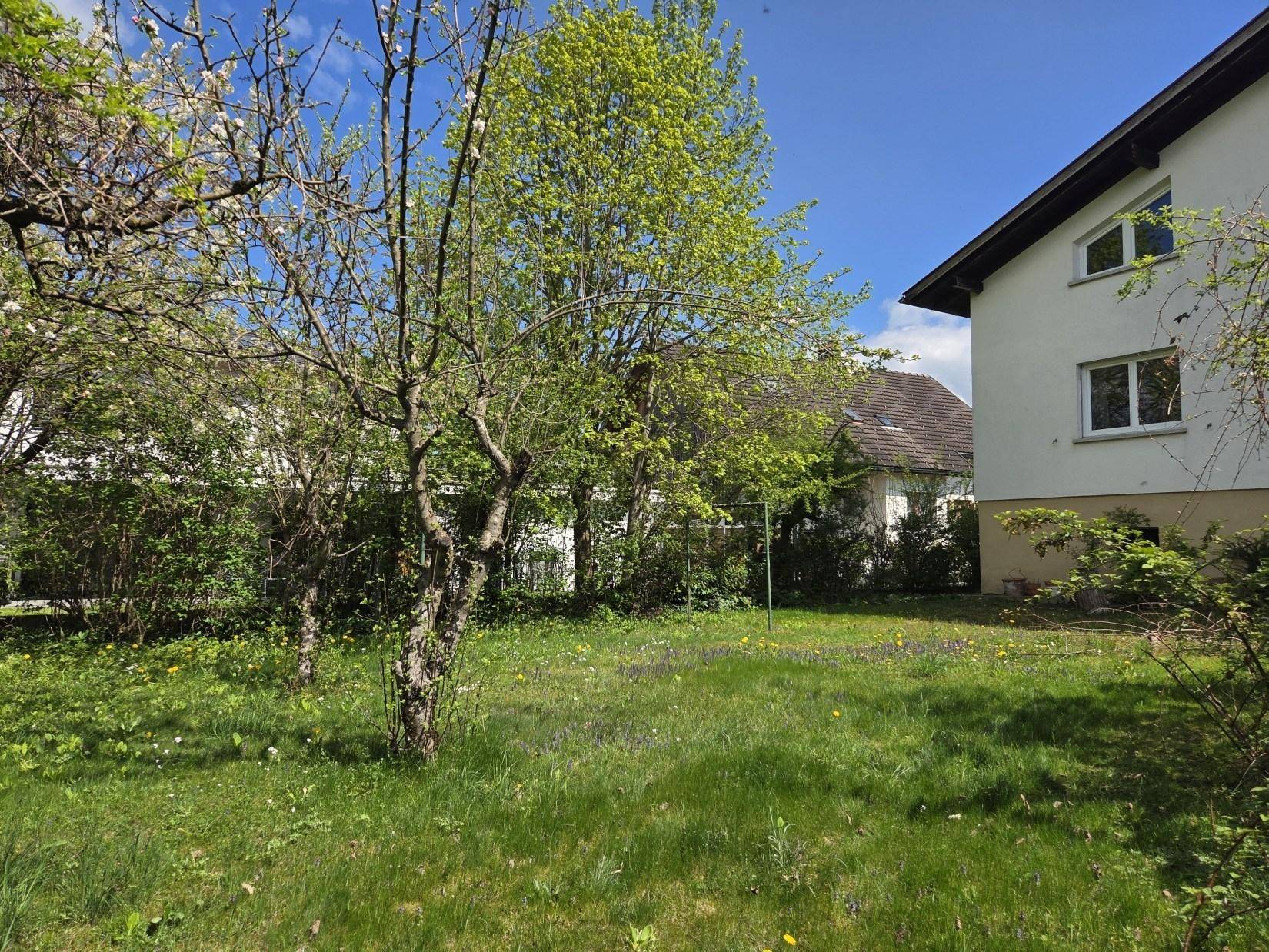 Grüner Gartenbereich mit Rasenfläche und Bäumen, ideal zum Entspannen im Freien.