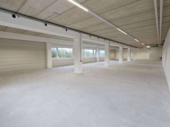 Großer, leerer Raum mit Betonboden, hohen Decken und vielen Fenstern für natürliches Licht.