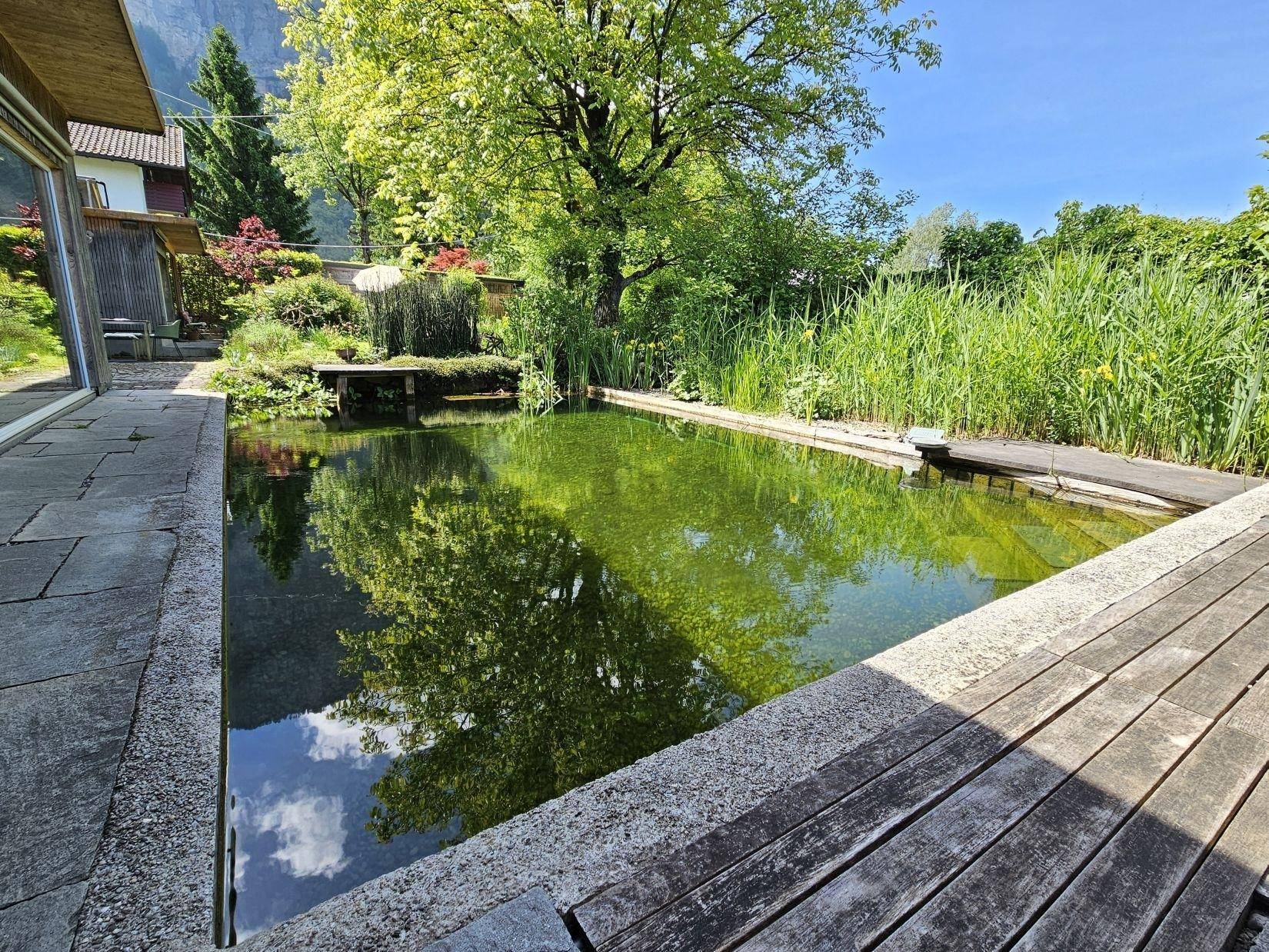 Idyllischer Naturschwimmteich mit Holzsteg und üppiger Vegetation, umgeben von Steinplatten.