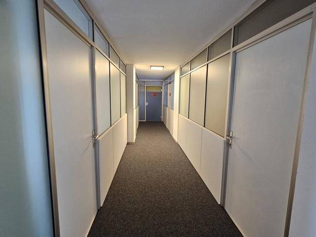 Langer Bürogang mit Teppichboden, weißen Wänden und Türen mit Glasoberlichtern.