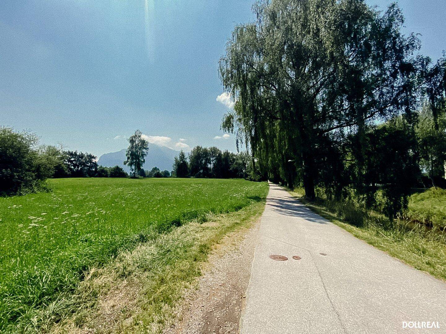 Glantrepplweg mit Untersbergblick