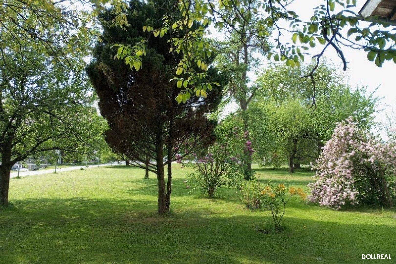 Baum- und Strauchbestand der Gesamtfläche.
