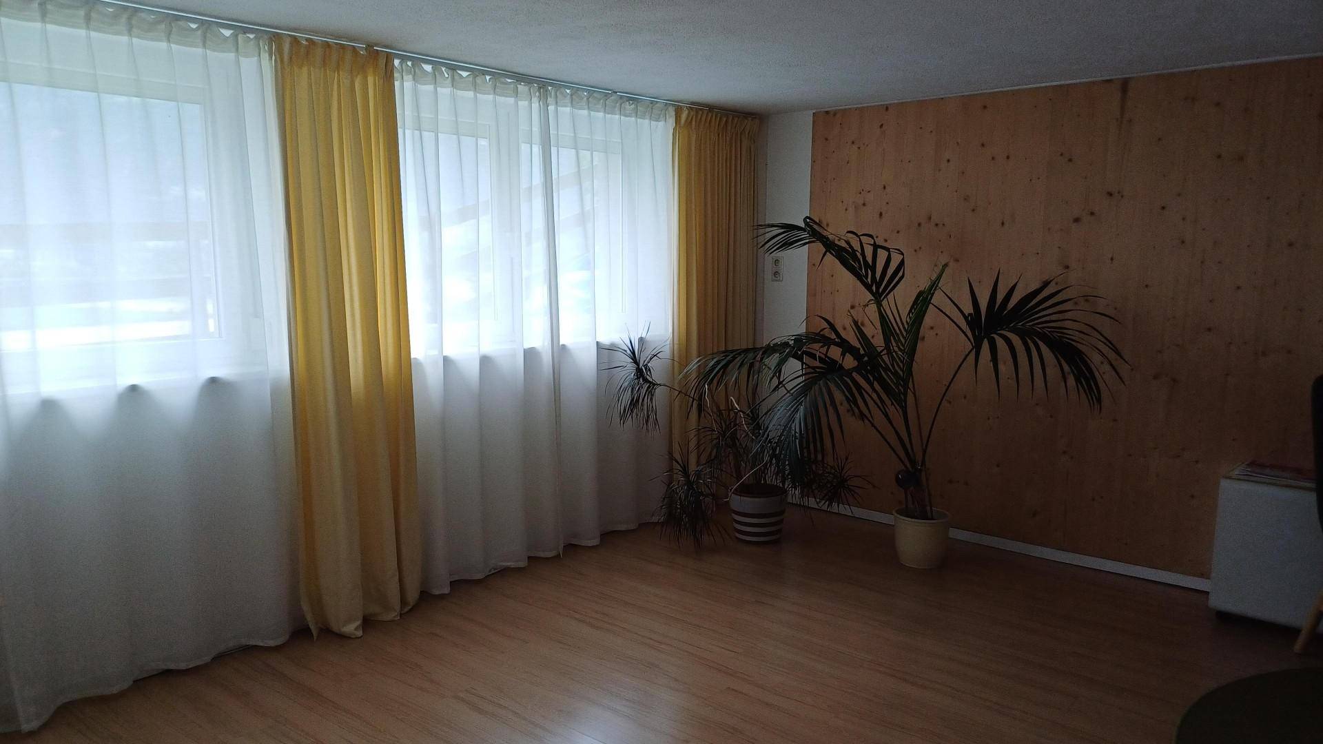 Heller, leerer Raum mit Holzfußboden, großen Fenstern und einer dekorativen Palme.