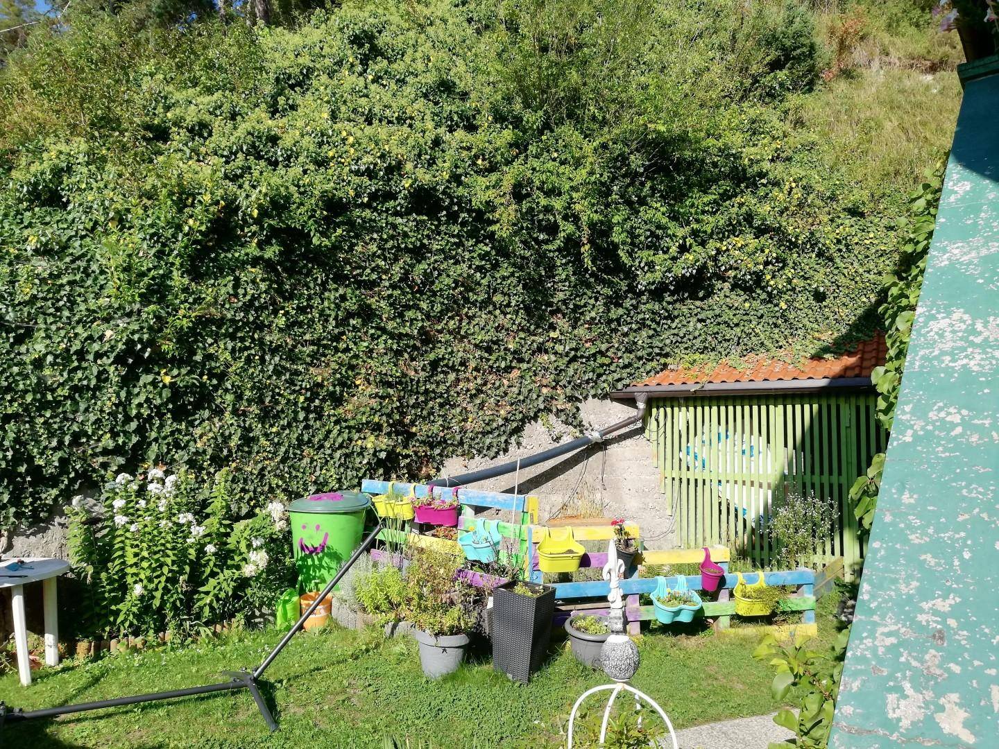 Bunter Gartenbereich mit üppigem Grün, einem kleinen Schuppen und vielen Topfpflanzen.