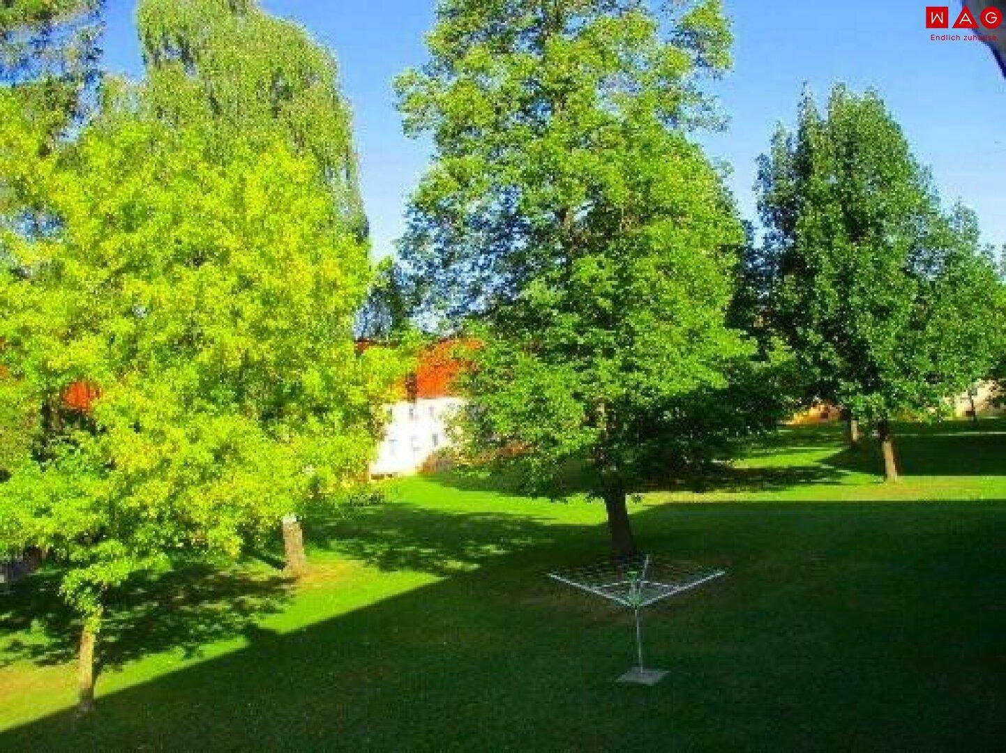 aus dem Fenster blickend, hofseitig