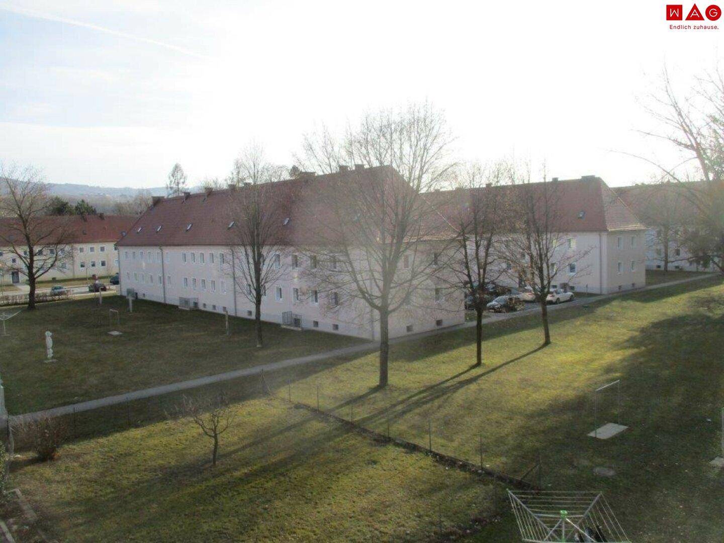 aus dem Fenster blickend hofseitig.