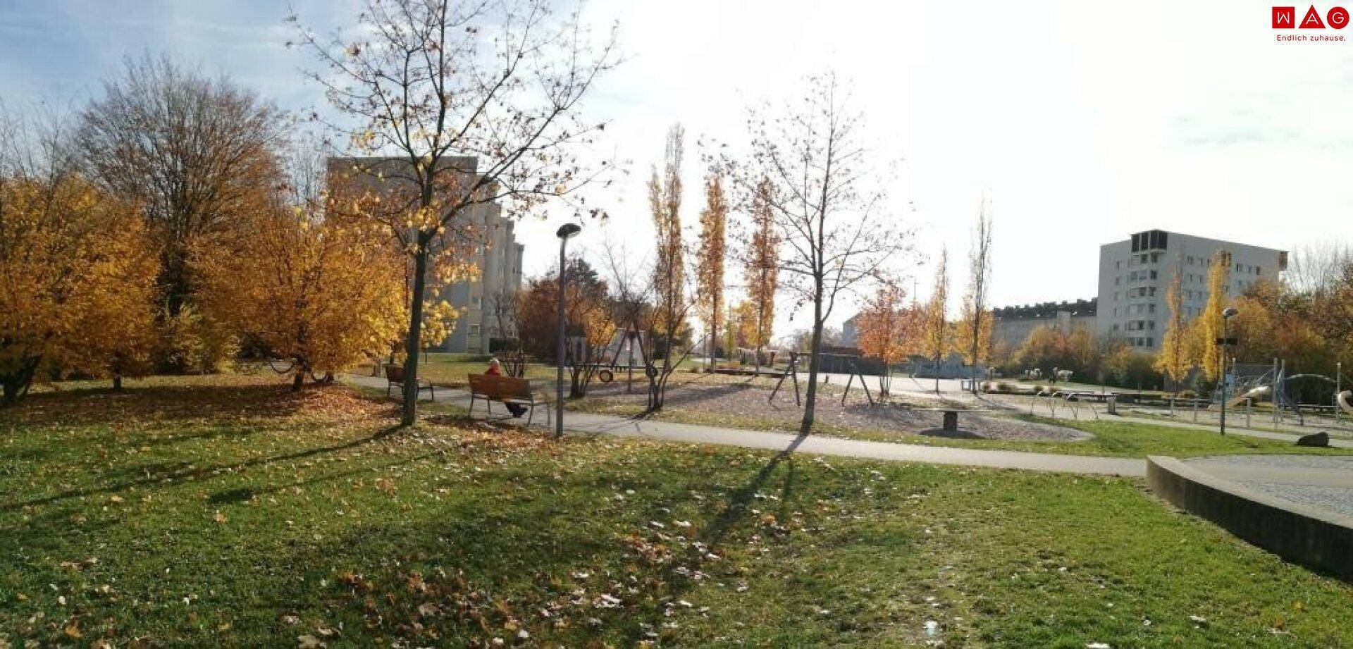 Bellevuepark (nur 100 m entfernt)