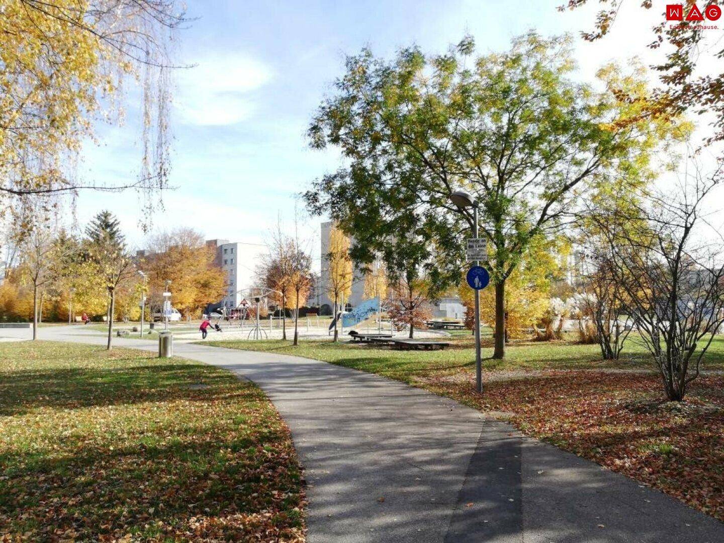 Bellevuepark (nur 100m entfernt) (1)