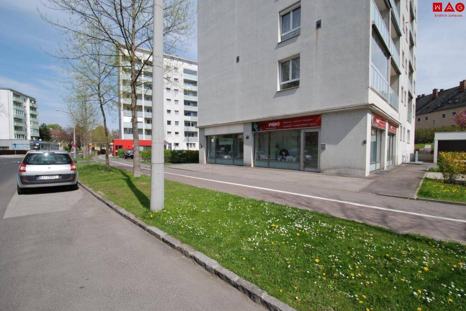 Bild Schaufenster 3
