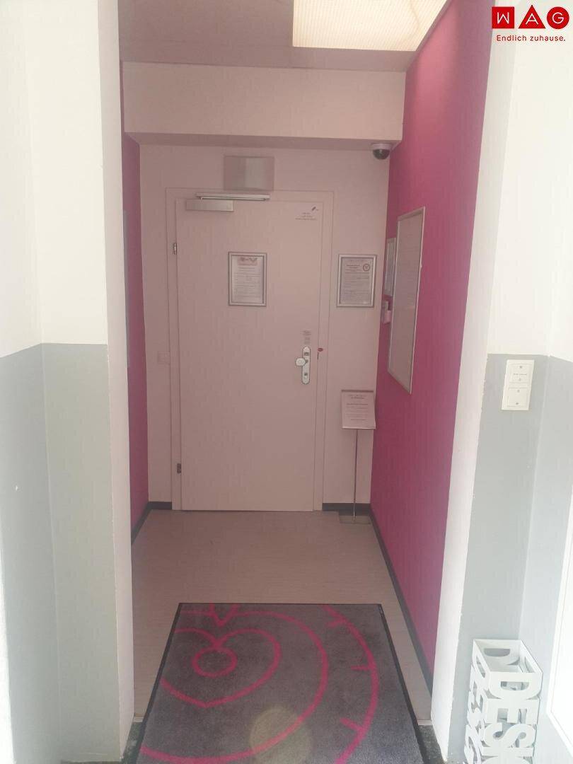 Eingangsbereich mit pinker Akzentwand, Teppich und einer weißen Tür.
