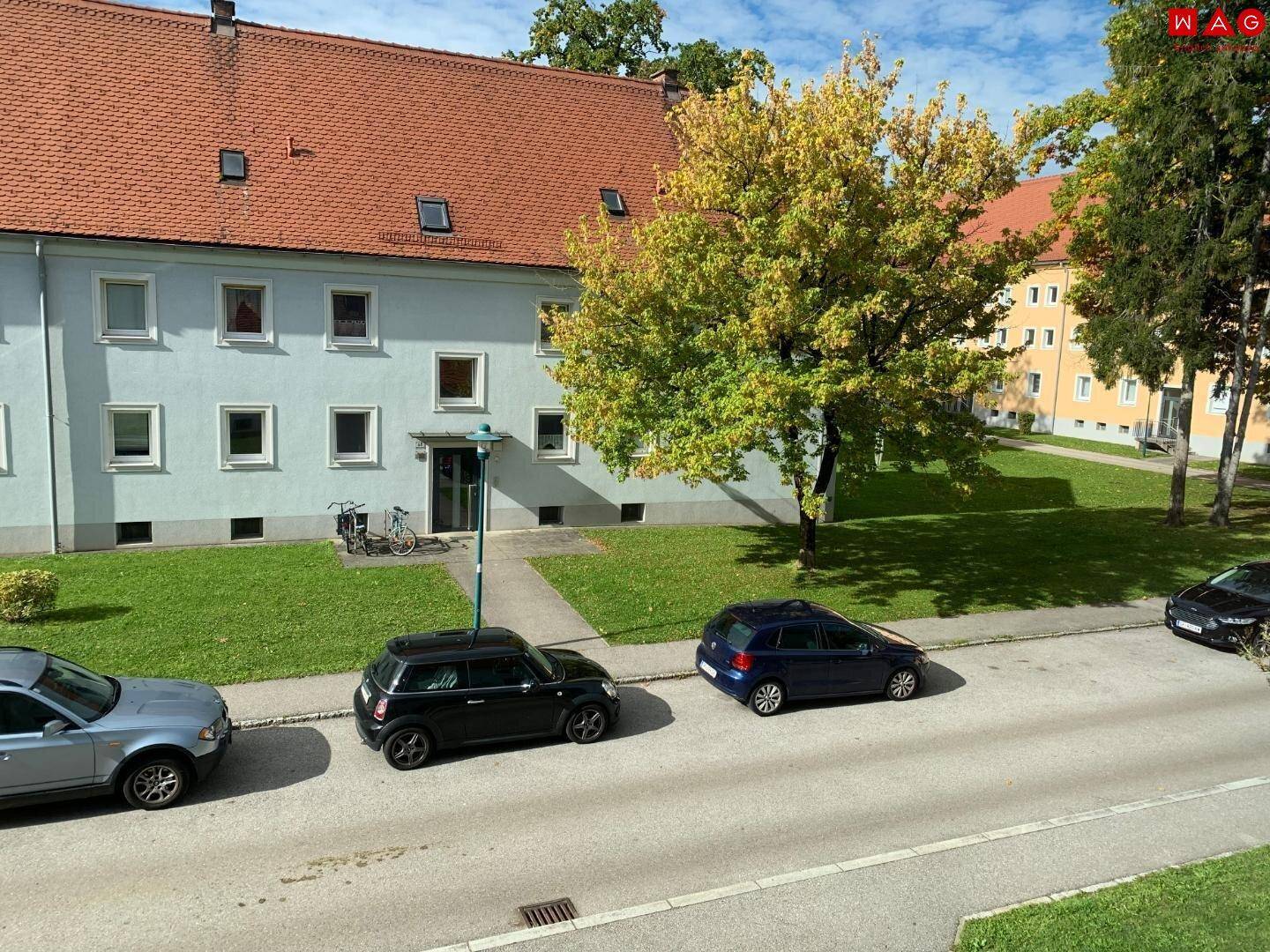 Außenanlage Bild 1